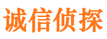 南海诚信私家侦探公司